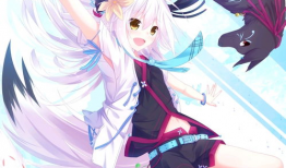 动漫是二次元吗,动漫世界的奇幻之旅